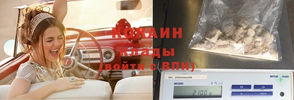 гидропоника Алзамай