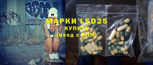 PSILOCYBIN Аркадак