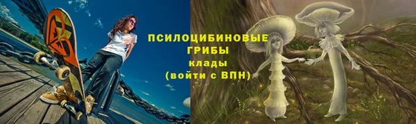 гидропоника Алзамай